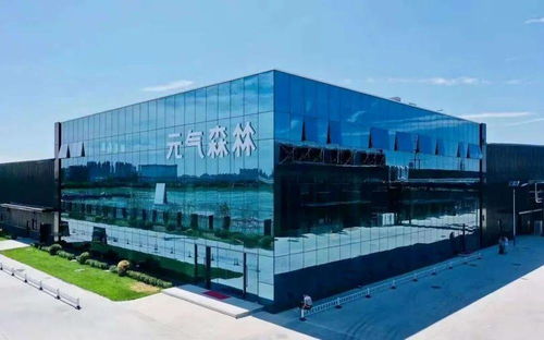 元气森林何惧“伐木工”？——臻鑫玖特别策划，揭秘品牌破局之道